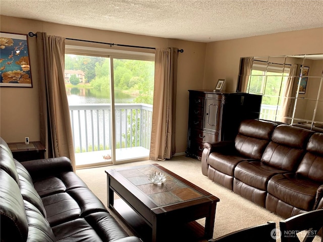31003 14th Ave S Unit C12, Federal Way, WA 98003 - carpeted living area with plenty of natural light, a textured ceiling, and a water view