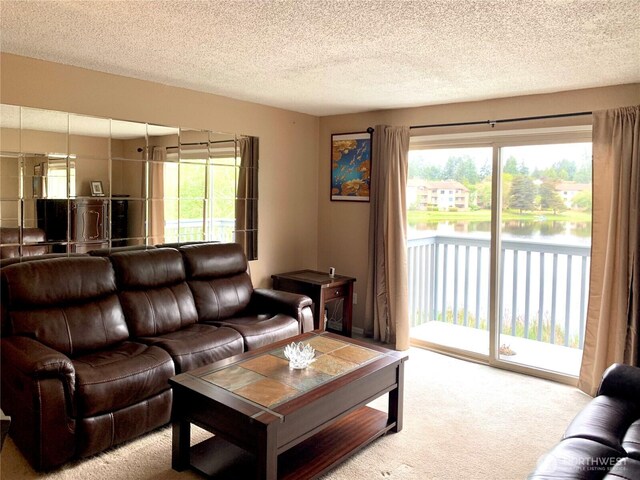 31003 14th Ave S Unit C12, Federal Way, WA 98003 - carpeted living area with plenty of natural light, a textured ceiling, and a water view