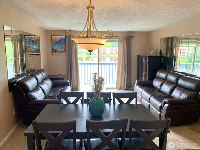31003 14th Ave S Unit C12, Federal Way, WA 98003 - carpeted dining room featuring healthy amount of natural light, a textured ceiling, and baseboards