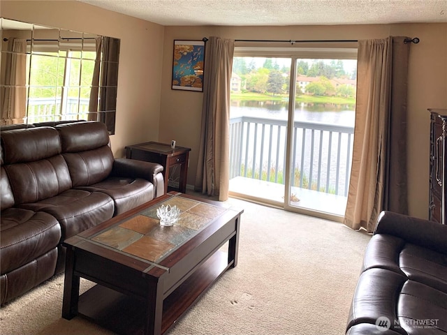 31003 14th Ave S Unit C12, Federal Way, WA 98003 - carpeted living area with plenty of natural light, a textured ceiling, and a water view