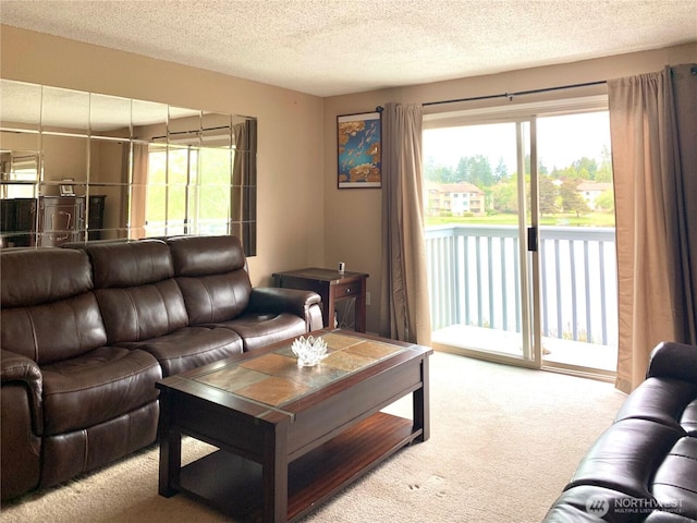 31003 14th Ave S Unit C12, Federal Way, WA 98003 - living area featuring carpet and a textured ceiling