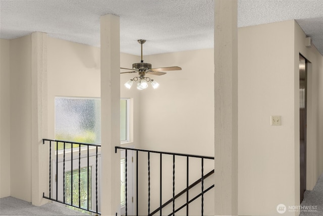 17122 40th Ave W, Lynnwood, WA 98037 - hallway with a textured ceiling, an upstairs landing, and carpet flooring