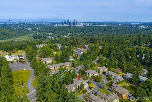 1122 140th Ave SE, Bellevue, WA 98005 - bird's eye view of a forest