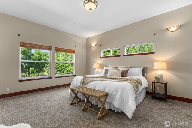 24022 SE 384th St, Enumclaw, WA 98022 - bedroom featuring multiple windows, carpet flooring, and baseboards