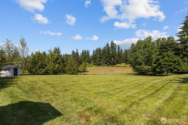 24022 SE 384th St, Enumclaw, WA 98022 - view of green lawn with a forest view