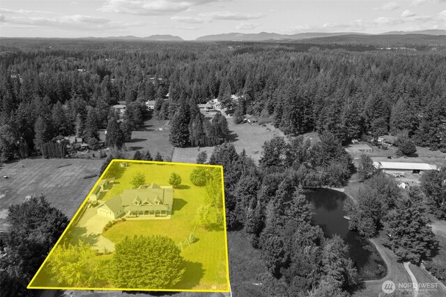 24022 SE 384th St, Enumclaw, WA 98022 - aerial view of property's location with a heavily wooded area, property parcel outlined, and mountains
