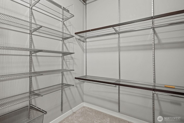 1855 Trossachs Blvd SE Unit 1404, Sammamish, WA 98075 - spacious closet with carpet floors