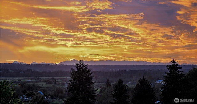 16907 116th St SE, Snohomish, WA 98290 - photo 4
