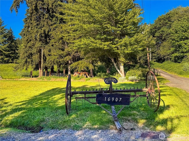 16907 116th St SE, Snohomish, WA 98290 - photo 11