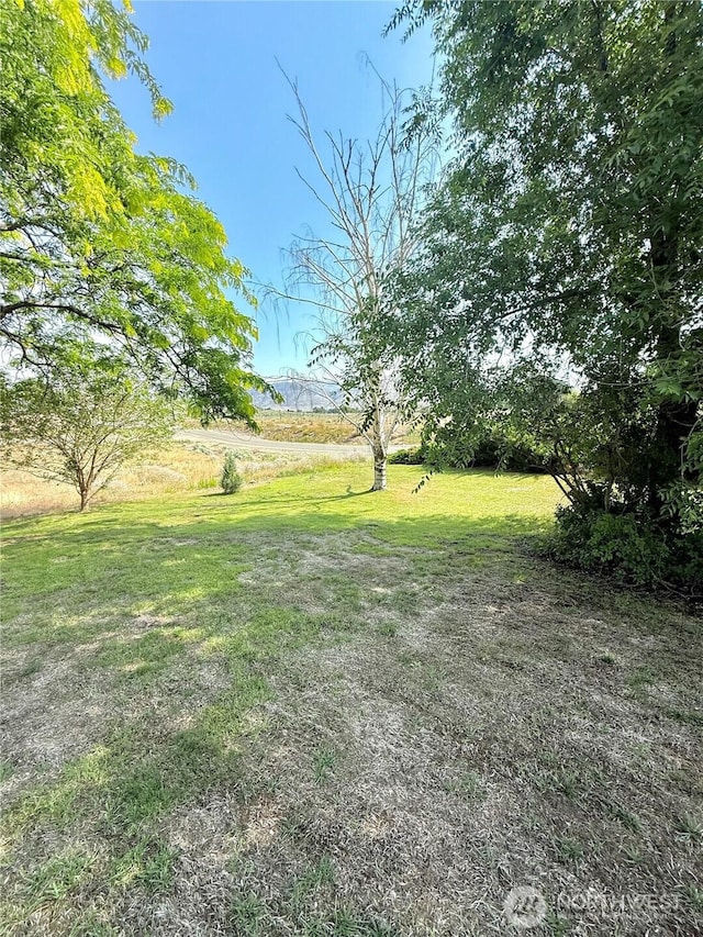 47 Kruse St, Omak, WA 98841 - view of green lawn