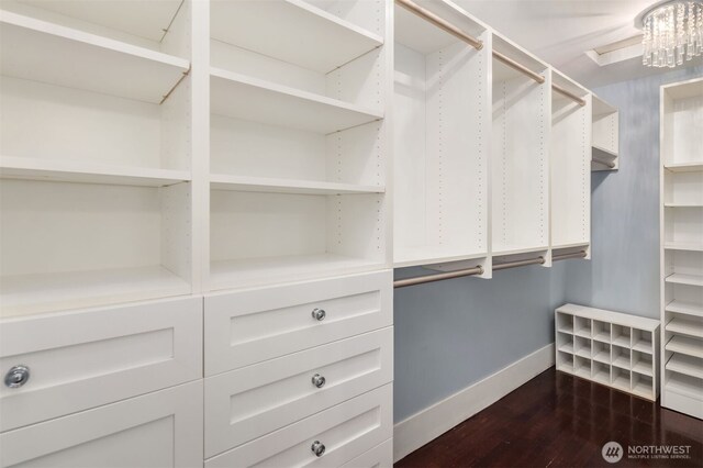 1611 Mcgilvra Blvd E, Seattle, WA 98112 - walk in closet with dark wood-style flooring