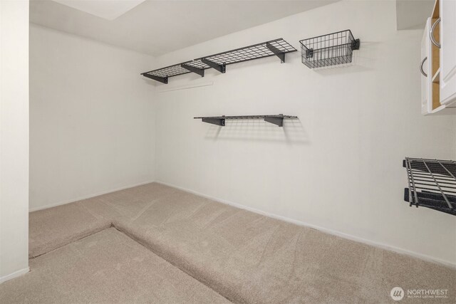 1611 Mcgilvra Blvd E, Seattle, WA 98112 - spacious closet featuring carpet floors