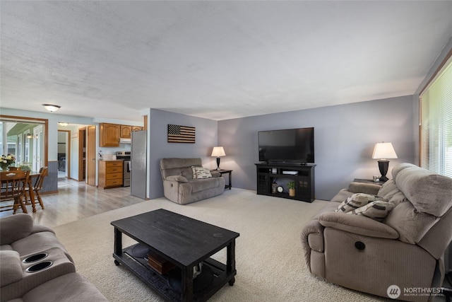 23696 Lake Dr, Mount Vernon, WA 98273 - living area with healthy amount of natural light and light colored carpet
