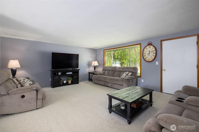 23696 Lake Dr, Mount Vernon, WA 98273 - view of carpeted living area