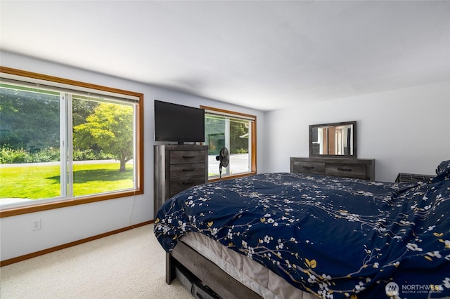 23696 Lake Dr, Mount Vernon, WA 98273 - carpeted bedroom featuring multiple windows and baseboards