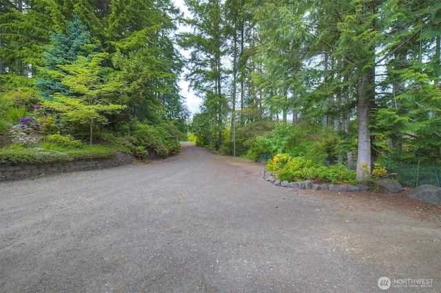 1510 E Benson Lake Dr, Grapeview, WA 98546 - view of dirt / gravel road featuring a wooded view