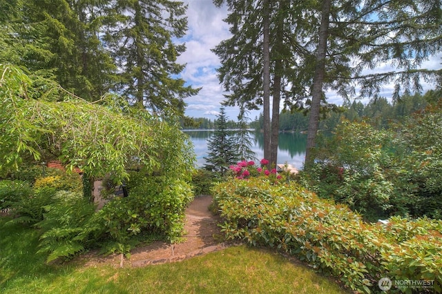1510 E Benson Lake Dr, Grapeview, WA 98546 - water view