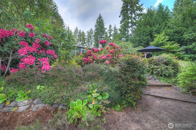 1510 E Benson Lake Dr, Grapeview, WA 98546 - view of yard