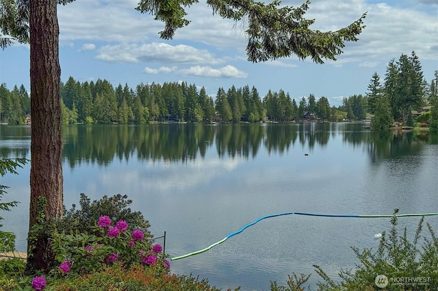 1510 E Benson Lake Dr, Grapeview, WA 98546 - water view with a heavily wooded area