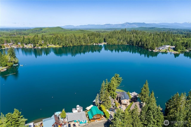 156 W Lost Lake Park Ct, Shelton, WA 98584 - photo 26