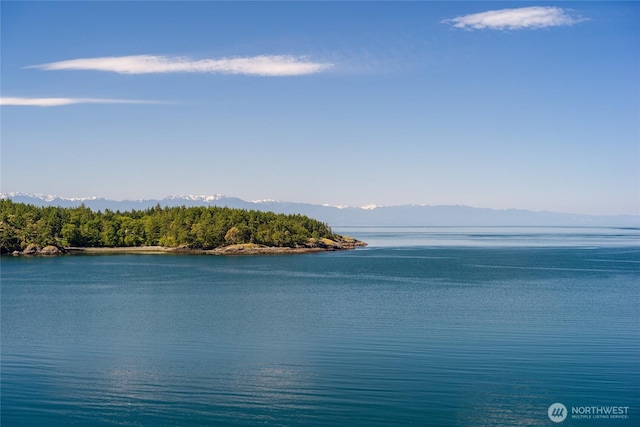 481 Grimes Riker Ln, Lopez Island, WA 98261 - water view featuring a mountain backdrop