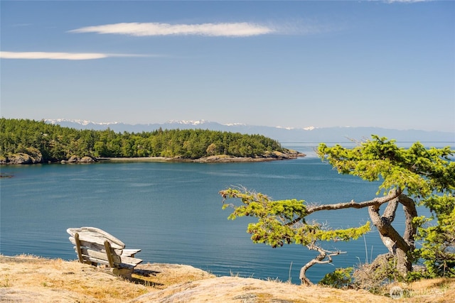 481 Grimes Riker Ln, Lopez Island, WA 98261 - water view with a forest