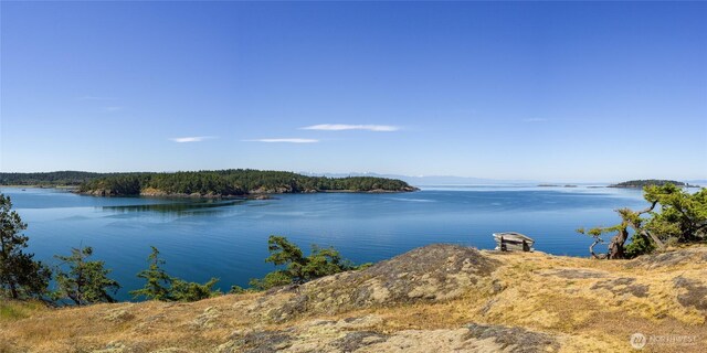 481 Grimes Riker Ln, Lopez Island, WA 98261 - water view