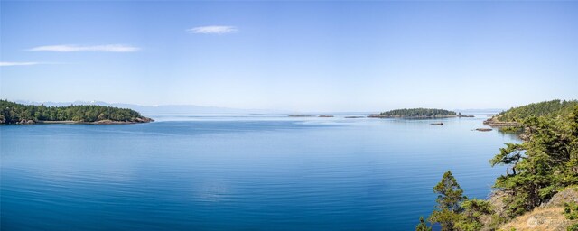 481 Grimes Riker Ln, Lopez Island, WA 98261 - water view
