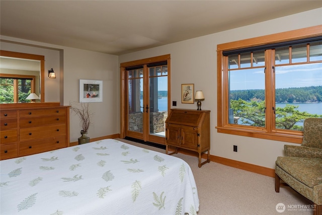 481 Grimes Riker Ln, Lopez Island, WA 98261 - bedroom featuring access to outside, baseboards, multiple windows, and carpet floors