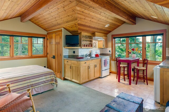 481 Grimes Riker Ln, Lopez Island, WA 98261 - kitchen featuring white electric stove, decorative backsplash, a sink, open shelves, and wood ceiling