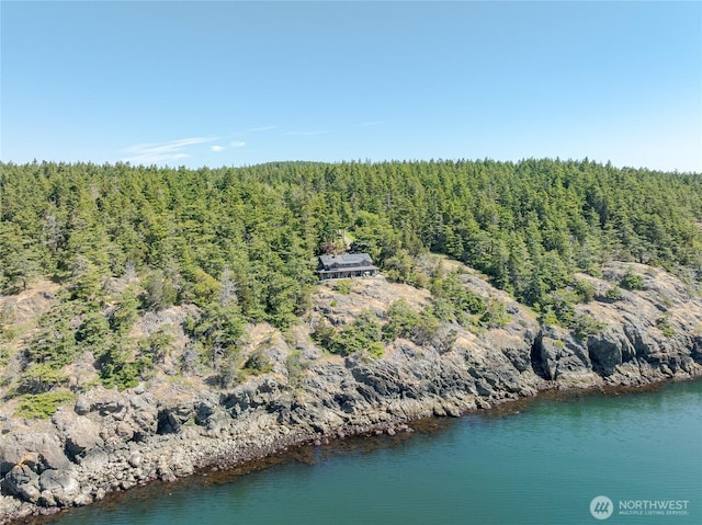 481 Grimes Riker Ln, Lopez Island, WA 98261 - aerial view of property and surrounding area featuring a forest