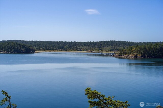 481 Grimes Riker Ln, Lopez Island, WA 98261 - water view featuring a forest