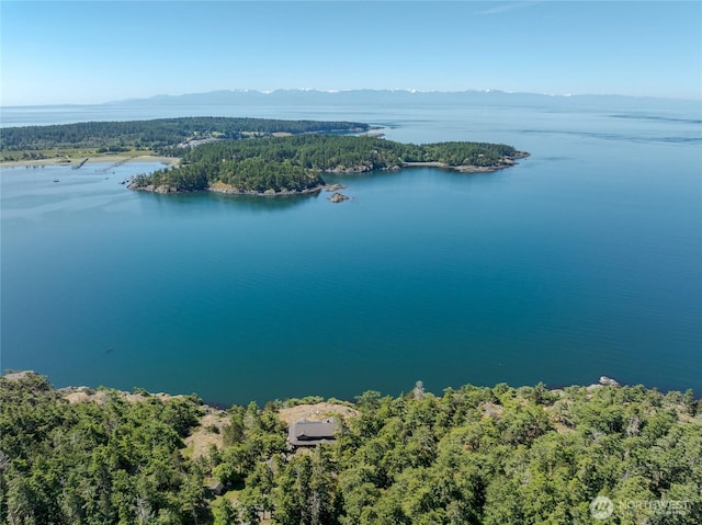 481 Grimes Riker Ln, Lopez Island, WA 98261 - bird's eye view of a heavily wooded area and a water and mountain view