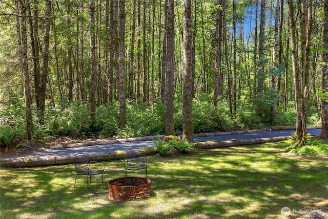 11024 127th Ave NE, Lake Stevens, WA 98258 - view of green lawn featuring a wooded view