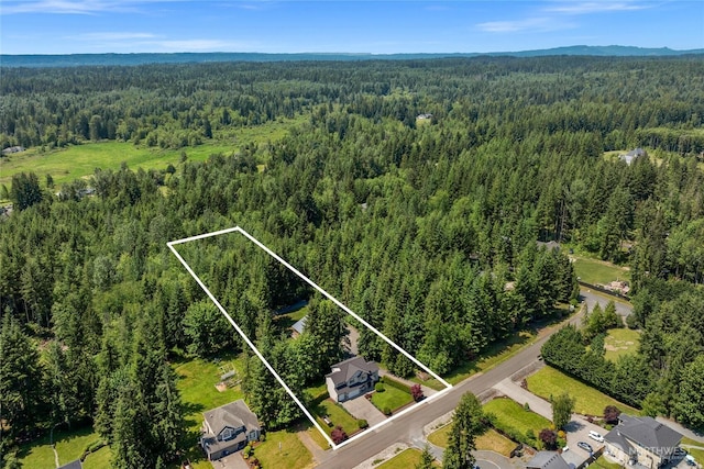 11024 127th Ave NE, Lake Stevens, WA 98258 - aerial view of property and surrounding area with a heavily wooded area and property parcel outlined