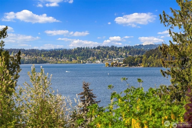 10762 Exeter Ave NE, Seattle, WA 98125 - water view featuring a heavily wooded area