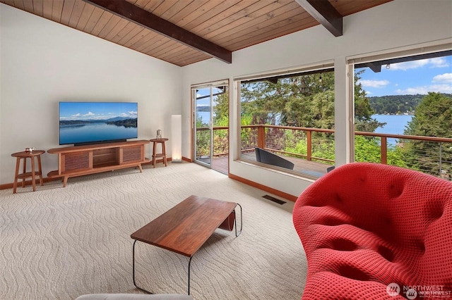 10762 Exeter Ave NE, Seattle, WA 98125 - carpeted living room with baseboards, wood ceiling, and a water view