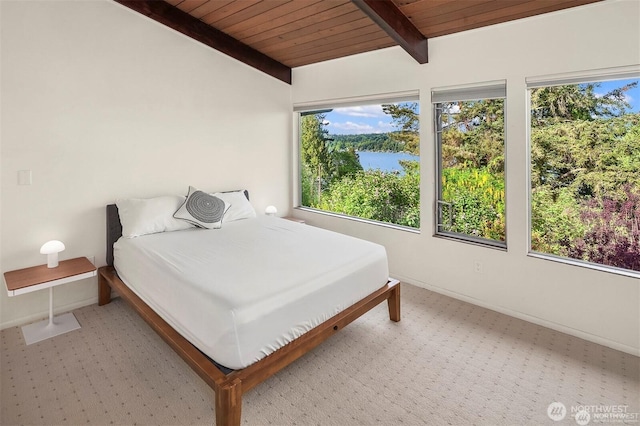 10762 Exeter Ave NE, Seattle, WA 98125 - carpeted bedroom with wooden ceiling and baseboards