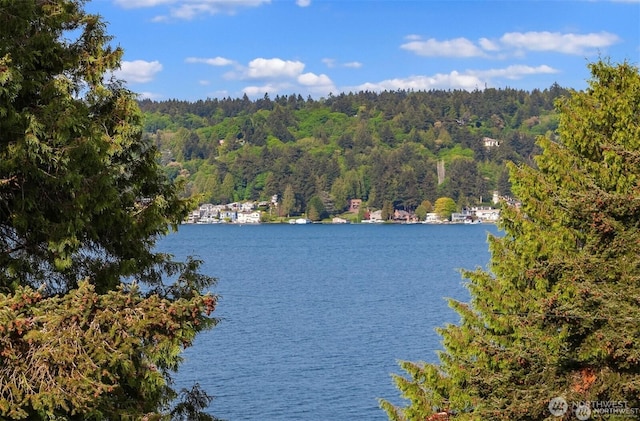 10762 Exeter Ave NE, Seattle, WA 98125 - water view featuring a forest