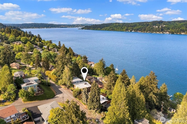 10762 Exeter Ave NE, Seattle, WA 98125 - drone / aerial view of a large body of water and a heavily wooded area