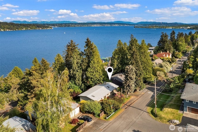 10762 Exeter Ave NE, Seattle, WA 98125 - bird's eye view of a water and mountain view