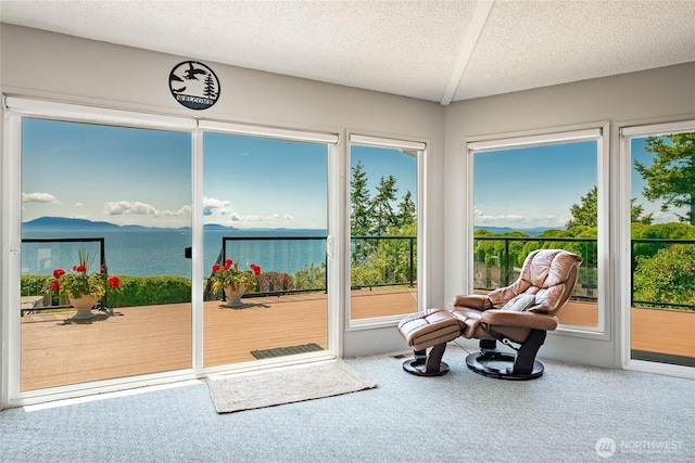 5691 Nakat Way, Blaine, WA 98230 - sunroom / solarium featuring carpet, healthy amount of natural light, and a textured ceiling