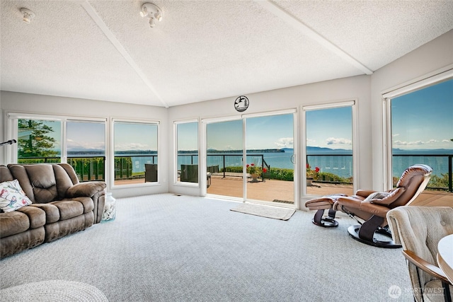 5691 Nakat Way, Blaine, WA 98230 - sunroom featuring a textured ceiling, carpet floors, and a water view