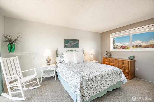 5691 Nakat Way, Blaine, WA 98230 - view of carpeted bedroom