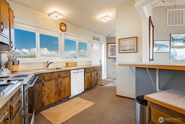 5691 Nakat Way, Blaine, WA 98230 - kitchen featuring white appliances, a textured ceiling, brown cabinets, light carpet, and a sink