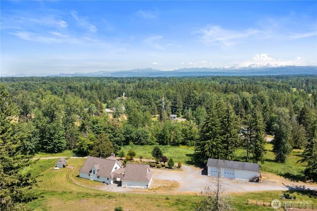 4309 324th St E, Eatonville, WA 98328 - photo 8