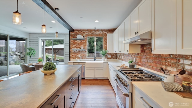 25625 SE Olympic Ln, Black Diamond, WA 98010 - kitchen featuring high end stainless steel range oven, under cabinet range hood, a sink, light wood-style floors, and white cabinetry