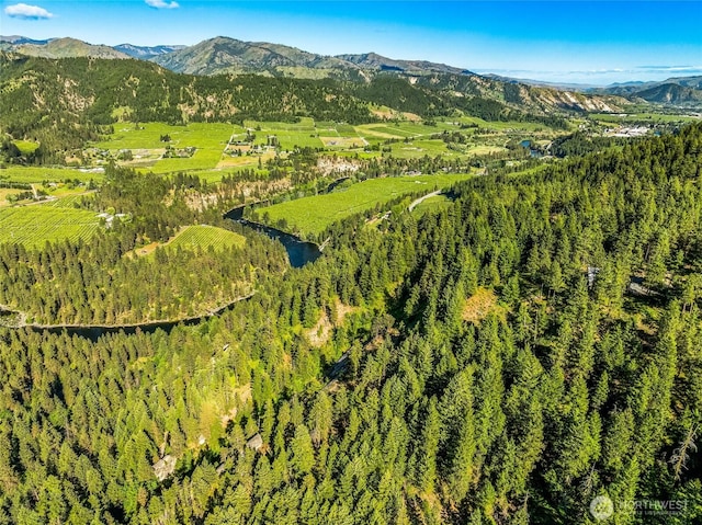 981 Nighthawk Ridge Ln, Leavenworth, WA 98826