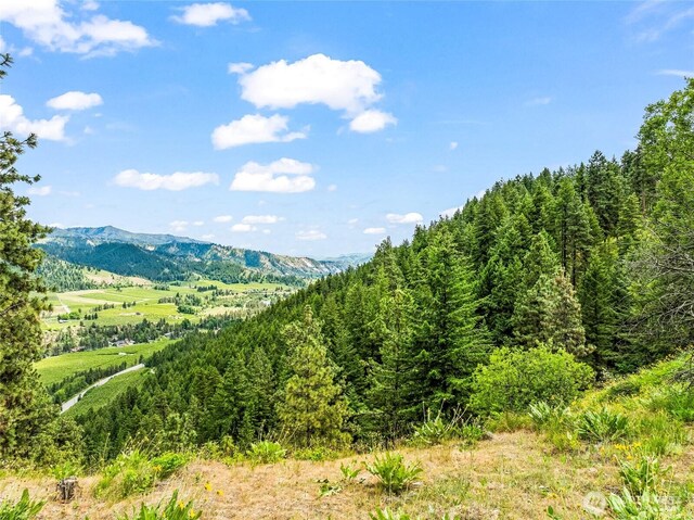 981 Nighthawk Ridge Ln, Leavenworth, WA 98826