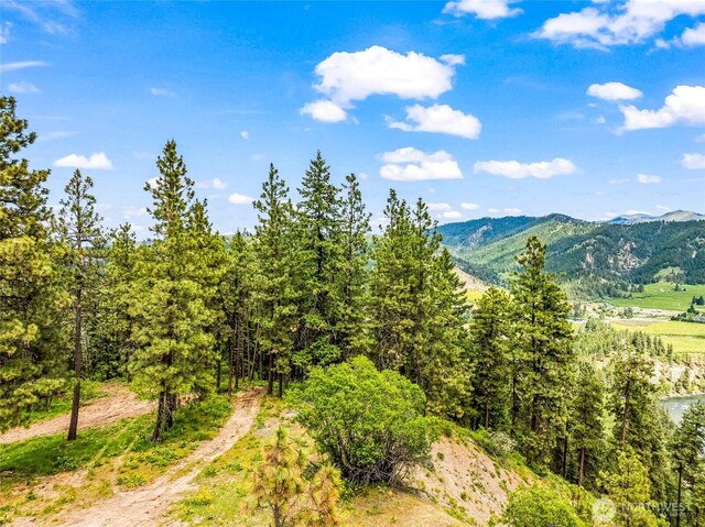 981 Nighthawk Ridge Ln, Leavenworth, WA 98826